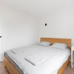 Panorama View Vilnius